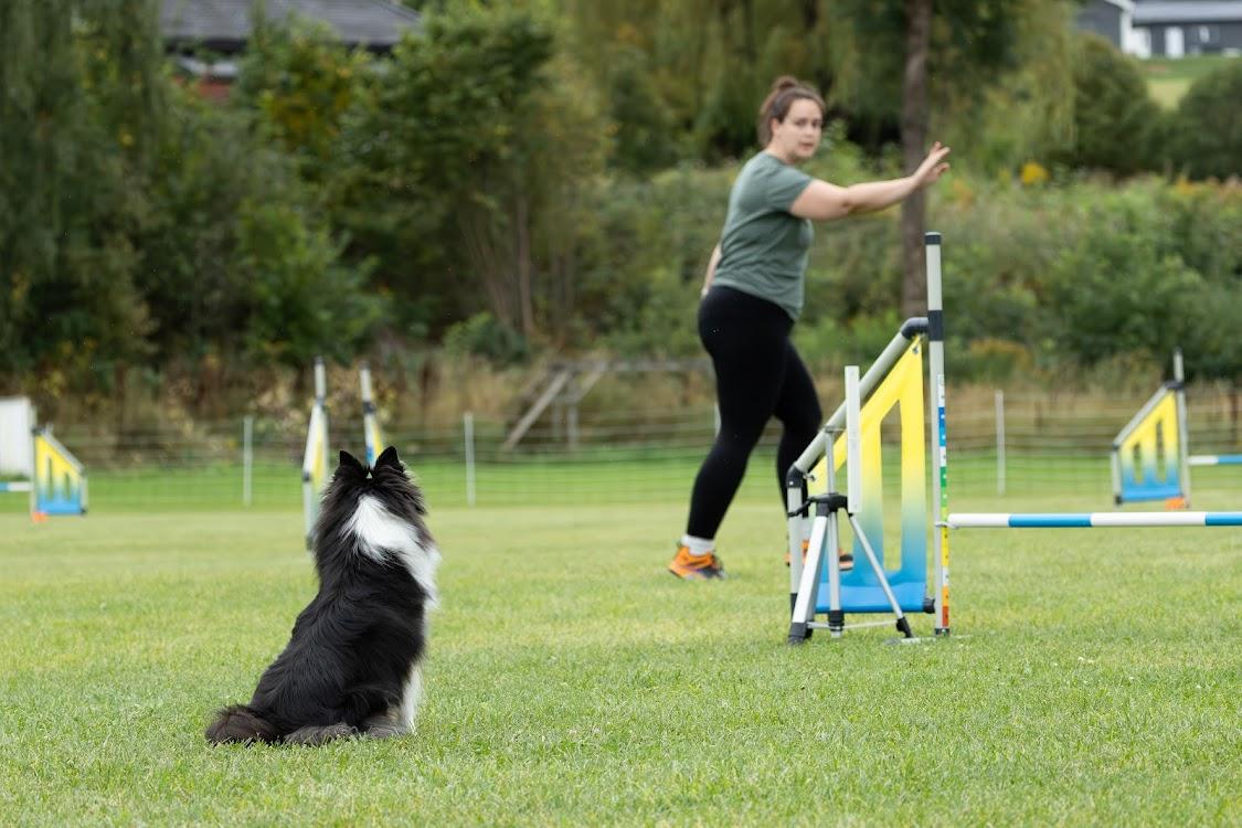 Helle på startstreken