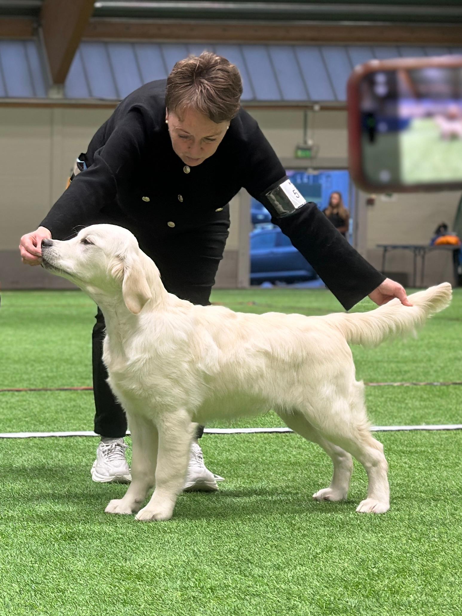 Marianne Lund viser hund