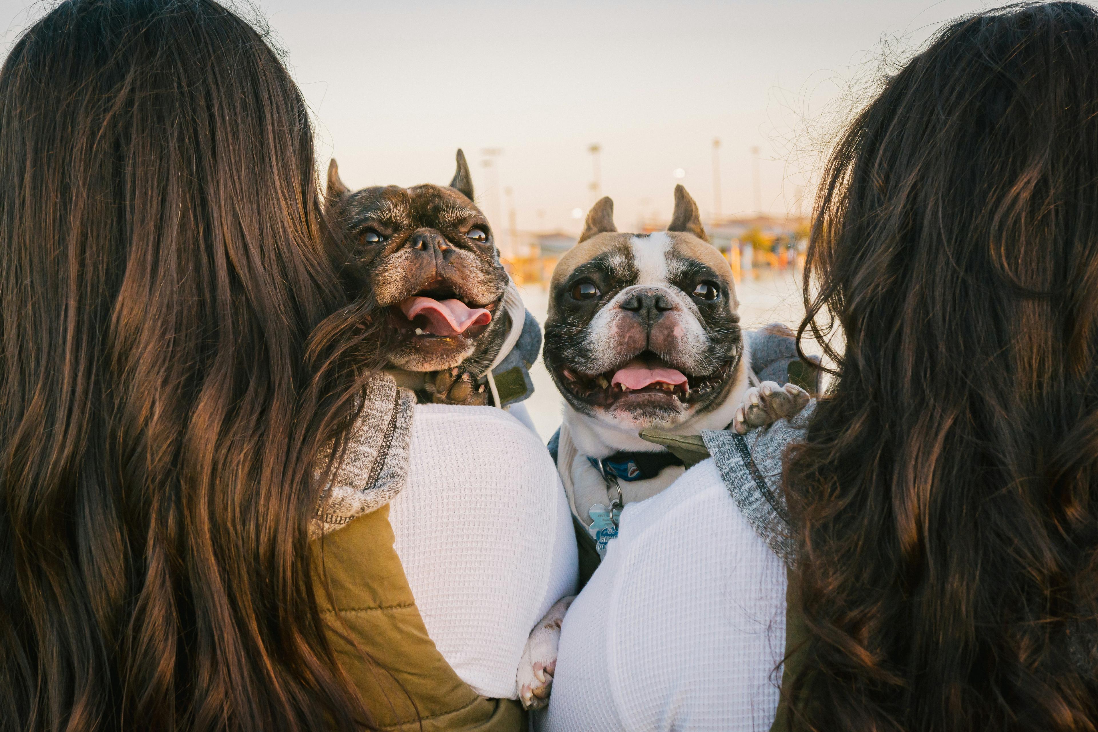 Teens and dogs