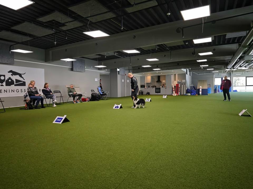 Stevnetrening Rally og LP